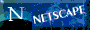 netscape.gif (1001 bytes)